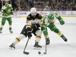 Bruins Wild Hockey