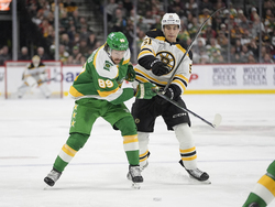 Bruins Wild Hockey