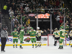 Bruins Wild Hockey