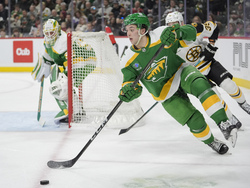 Bruins Wild Hockey