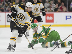 Bruins Wild Hockey