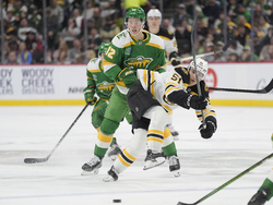 Bruins Wild Hockey