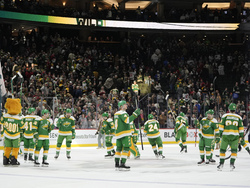 Bruins Wild Hockey