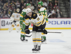 Bruins Wild Hockey