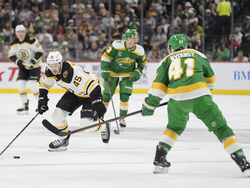 Bruins Wild Hockey