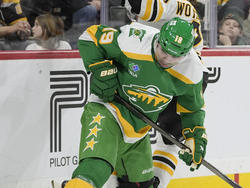 Bruins Wild Hockey