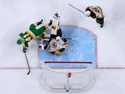 Bruins Wild Hockey