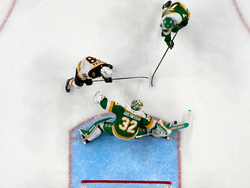 Bruins Wild Hockey