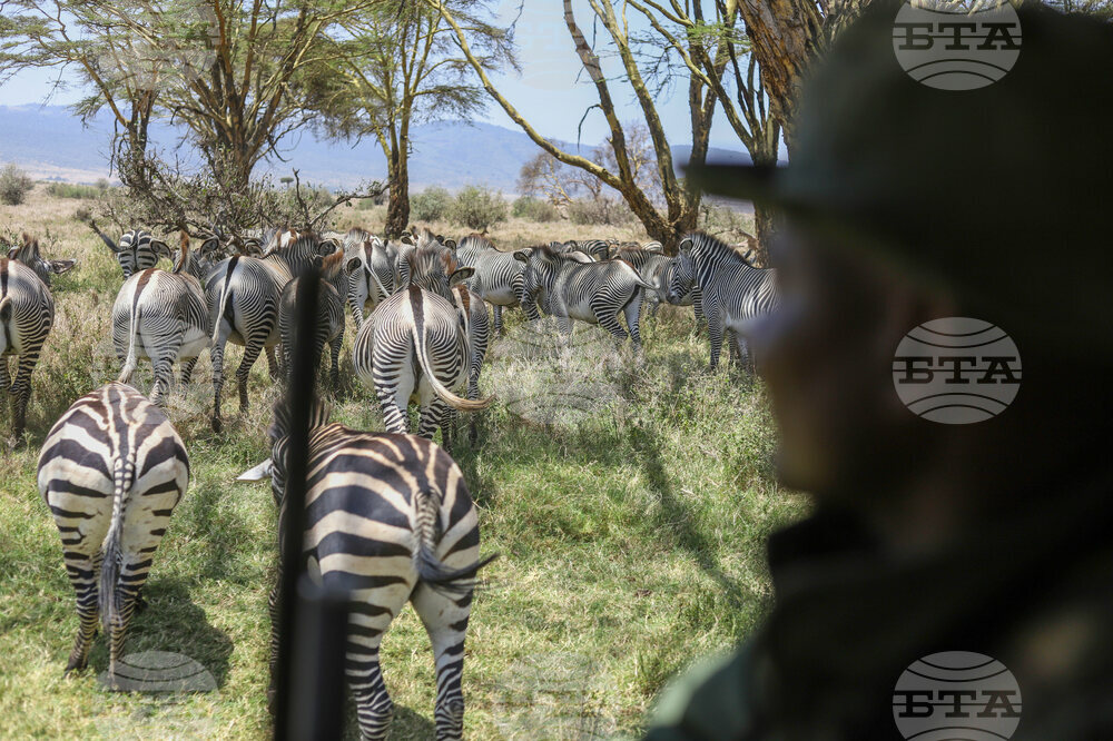 Kenya World Wildlife Day