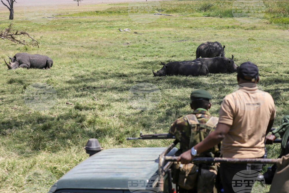 Kenya World Wildlife Day