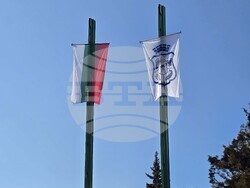 Видин - Трети март - честване