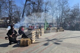 Видин - Трети март - честване