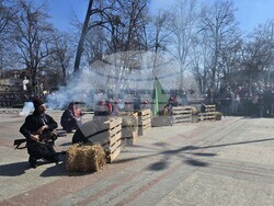 Видин - Трети март - честване