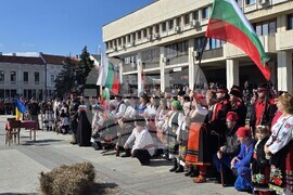 Видин - Трети март - честване