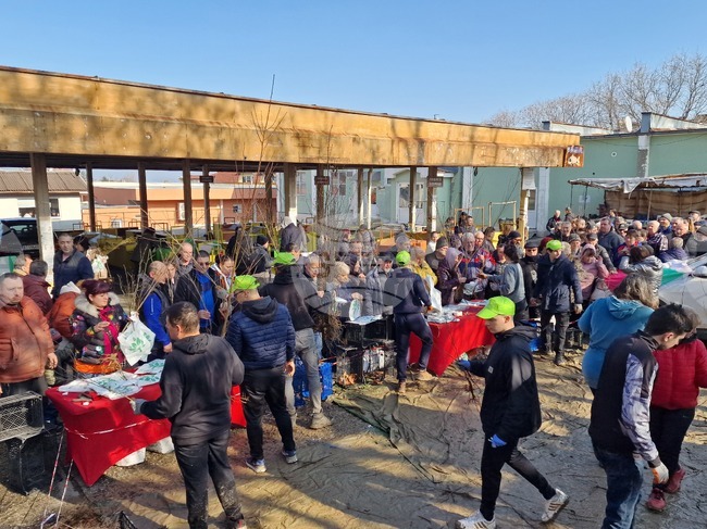 Около 12 хиляди плодни и медоносни дръвчета раздадоха от „Гората.бг“ на Трети март в Свищов