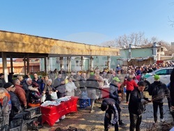 Свищов - Гората.бг - инициатива за подаряване на дръвчета