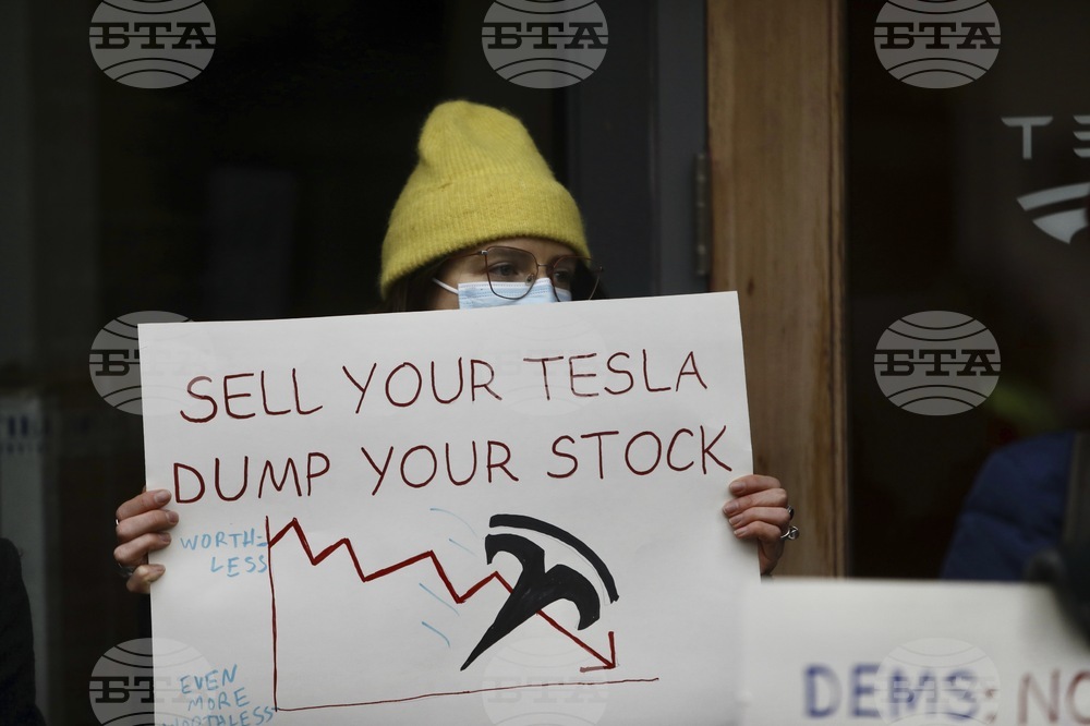 Tesla Backlash