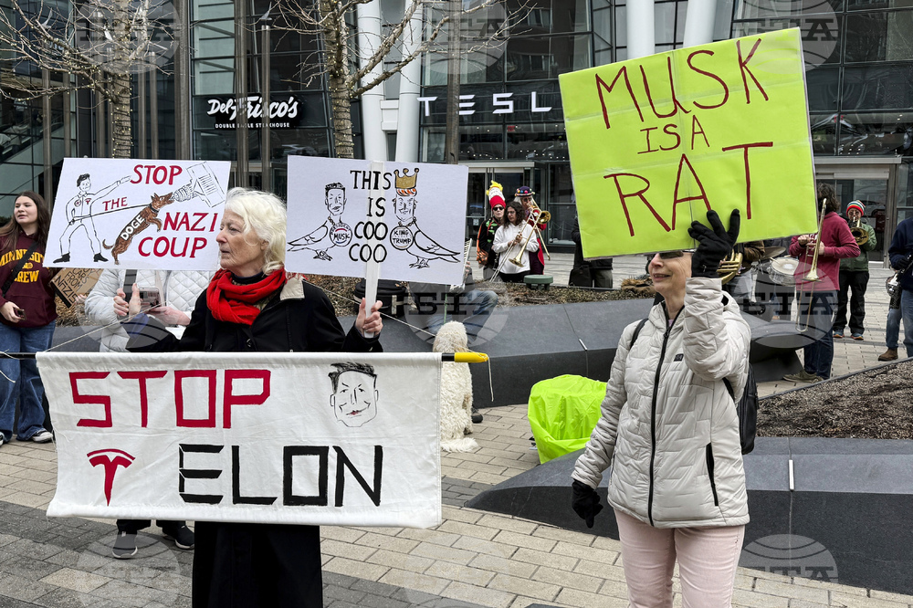 Tesla Backlash
