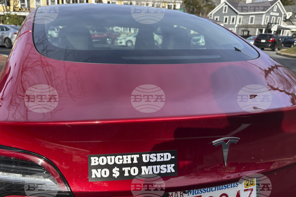 Tesla Backlash