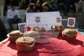 Сърбия - блокади - образование