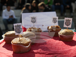 Сърбия - блокади - образование