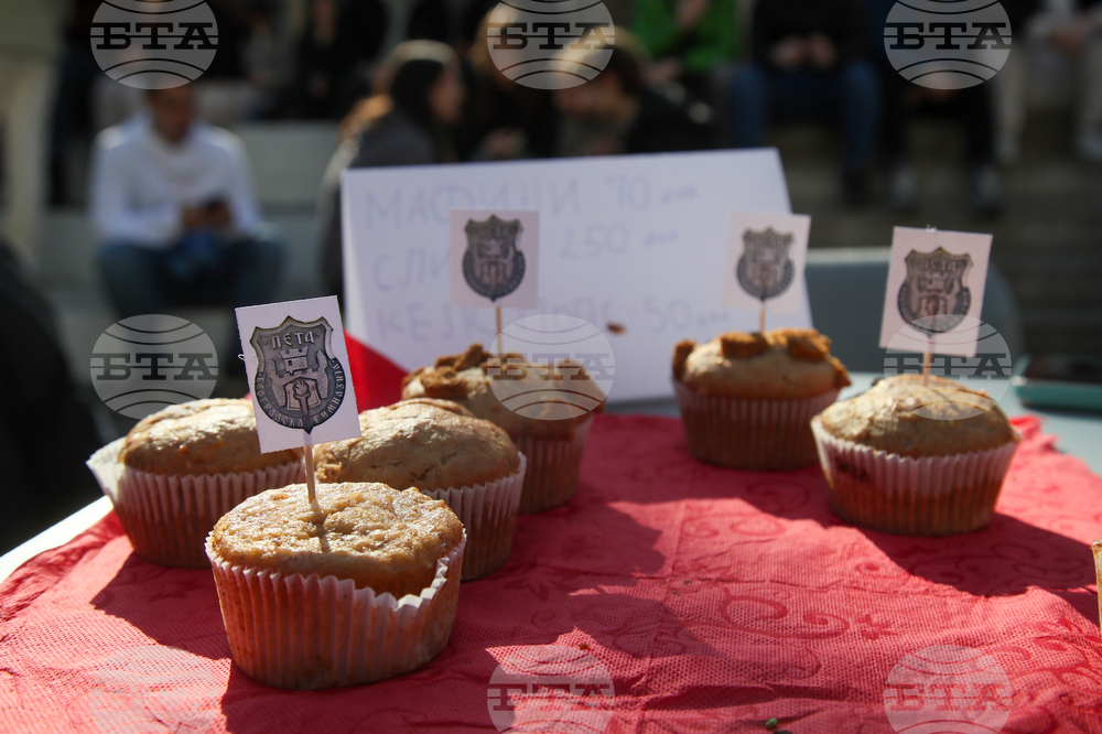 Сърбия - блокади - образование