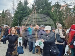 Велико Търново - Гората.бг - акция