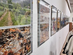 Смолян - изложба