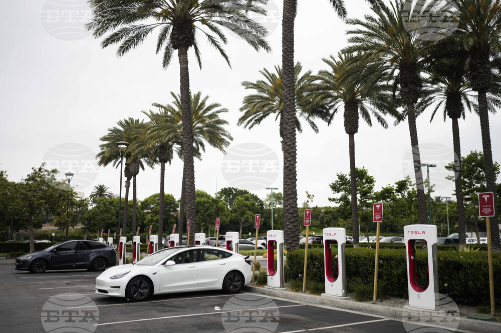 Tesla Backlash