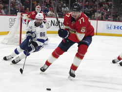 Lightning Panthers Hockey