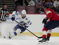 Lightning Panthers Hockey