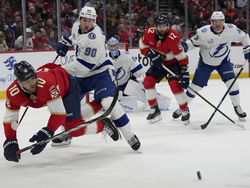 Lightning Panthers Hockey