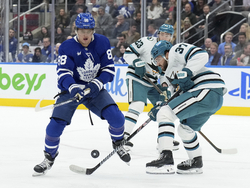 Sharks Maple Leafs Hockey