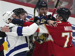 Lightning Panthers Hockey