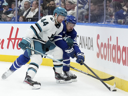 Sharks Maple Leafs Hockey