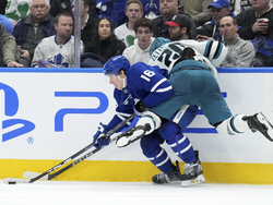 Sharks Maple Leafs Hockey