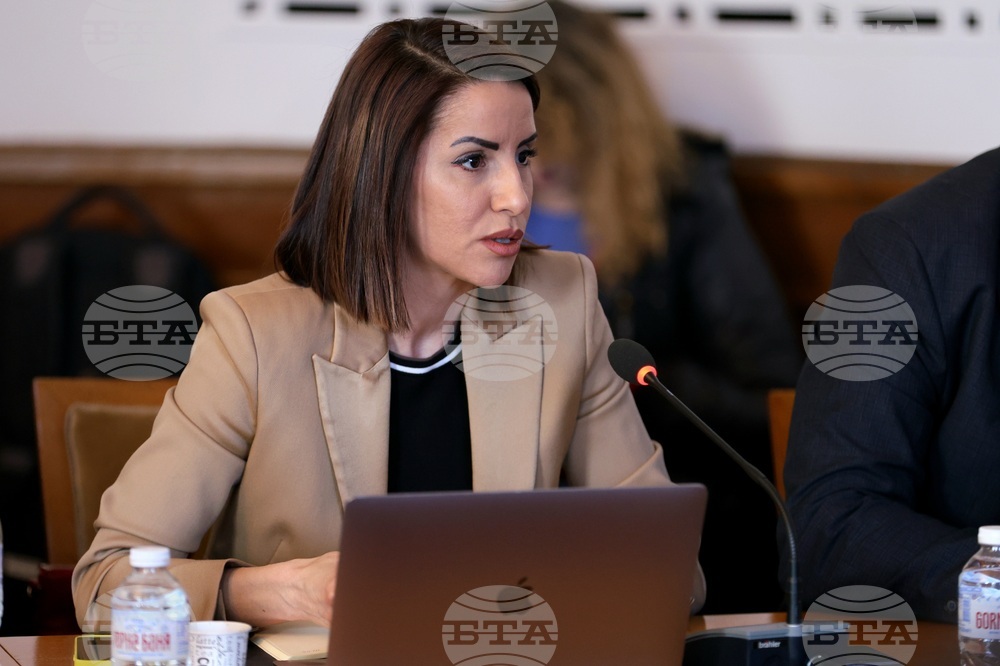 Народно събрание - кръгла маса - Велина Топалова