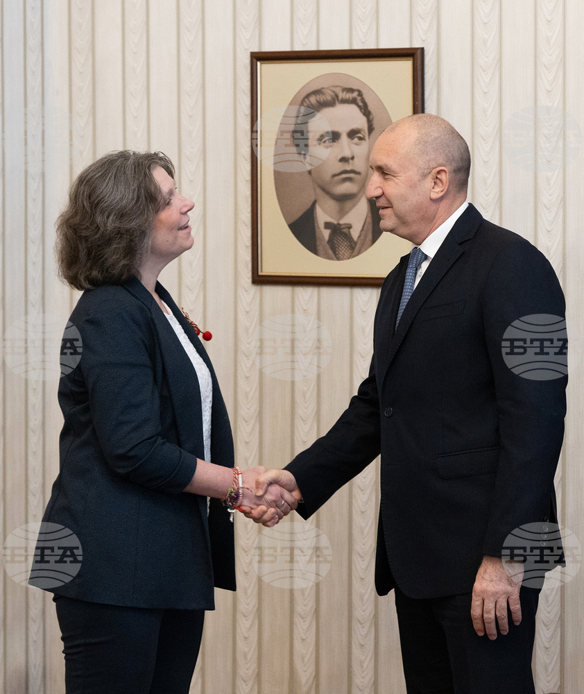 Президентът Румен Радев проведе среща с временно управляващата посолството на САЩ Сюзън Фалатко