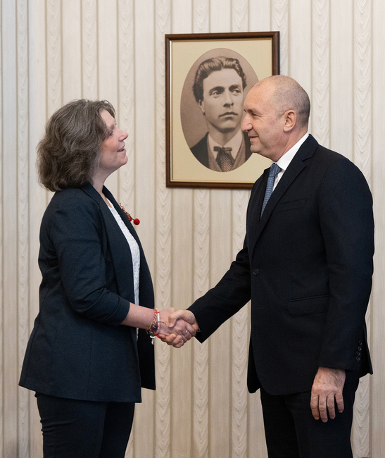 President Radev Confers with US Chief of Mission Falatko