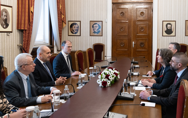 Стратегическото партньорство между България и САЩ обсъдиха президентът Румен Радев и временно управляващата посолството на САЩ Сюзън Фалатко