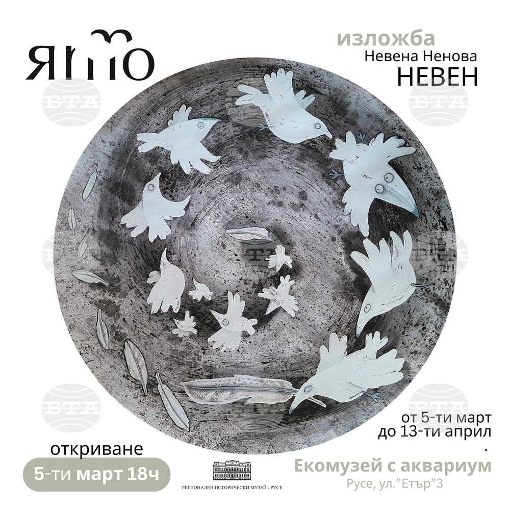 Изложбата "Ято" представя експресивни рисунки на птици в Русенския екомузей