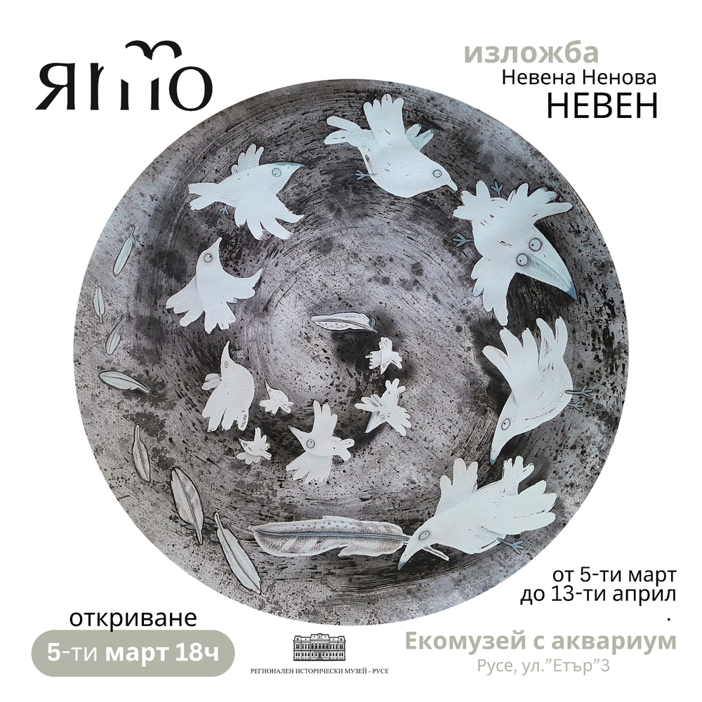 Изложбата "Ято" представя експресивни рисунки на птици в Русенския екомузей