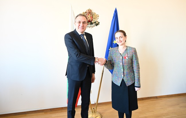 Labour Minister Gutsanov Confers with European Commission's Representation Head Chobanova