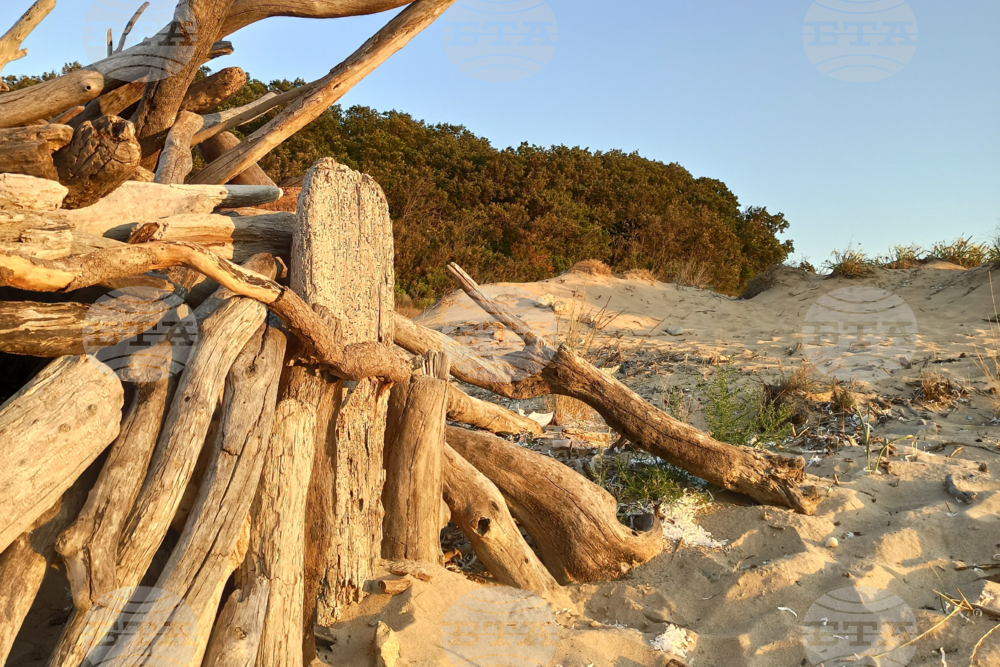 Община Приморско е извършила почистване на замърсявания от мазут на плаж Аркутино 
