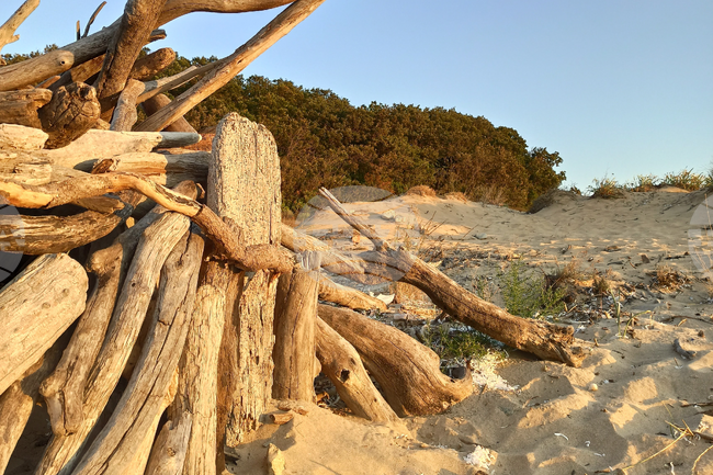 Община Приморско е извършила почистване на замърсявания от мазут на плаж Аркутино 
