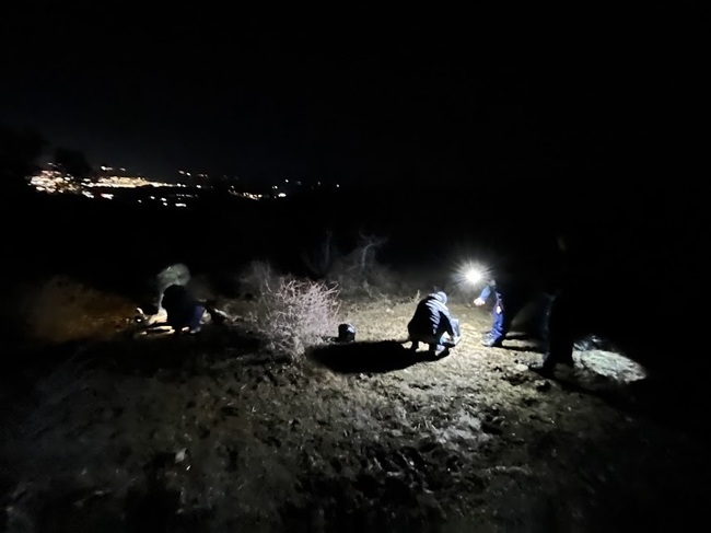 Четири белоглави лешояда са намерени отровени в землището на благоевградското село Мощанец 