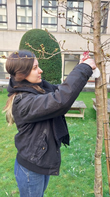 Празникът на Баба Марта събра български студенти и белгийски ученици в Гент 