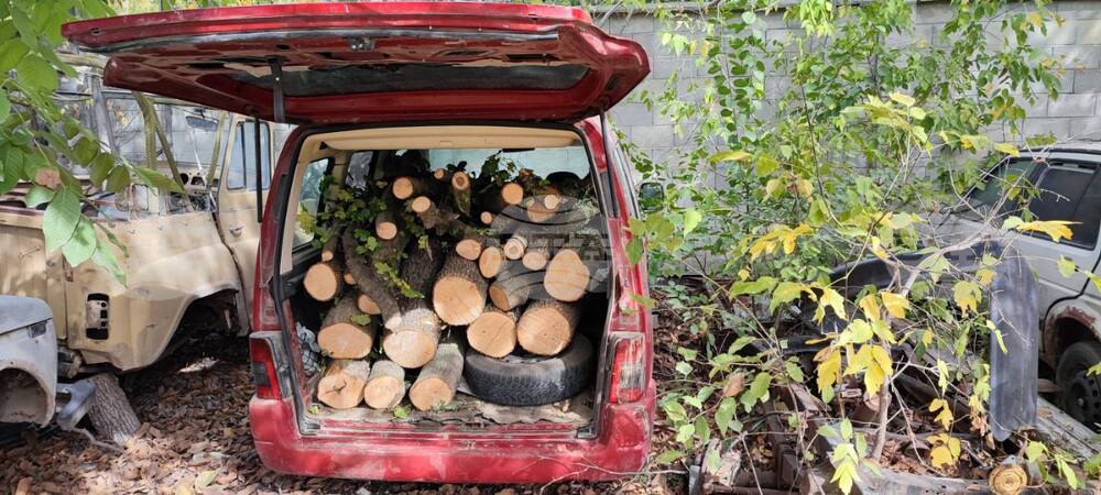 Около 20 пространствени куб. м незаконно добита дървесина са задържани при извършени над 2200 проверки на територията на СИДП през февруари