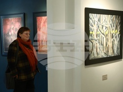 Ивайло Мирчев - изложба - откриване