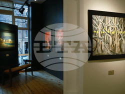 Ивайло Мирчев - изложба - откриване